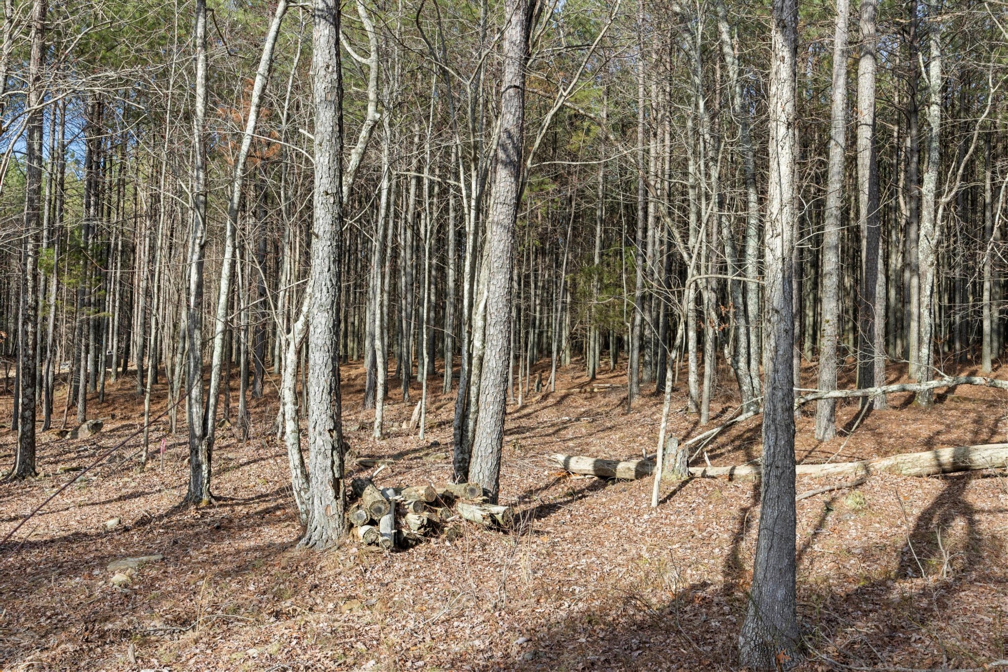 0 Raulston Falls Road