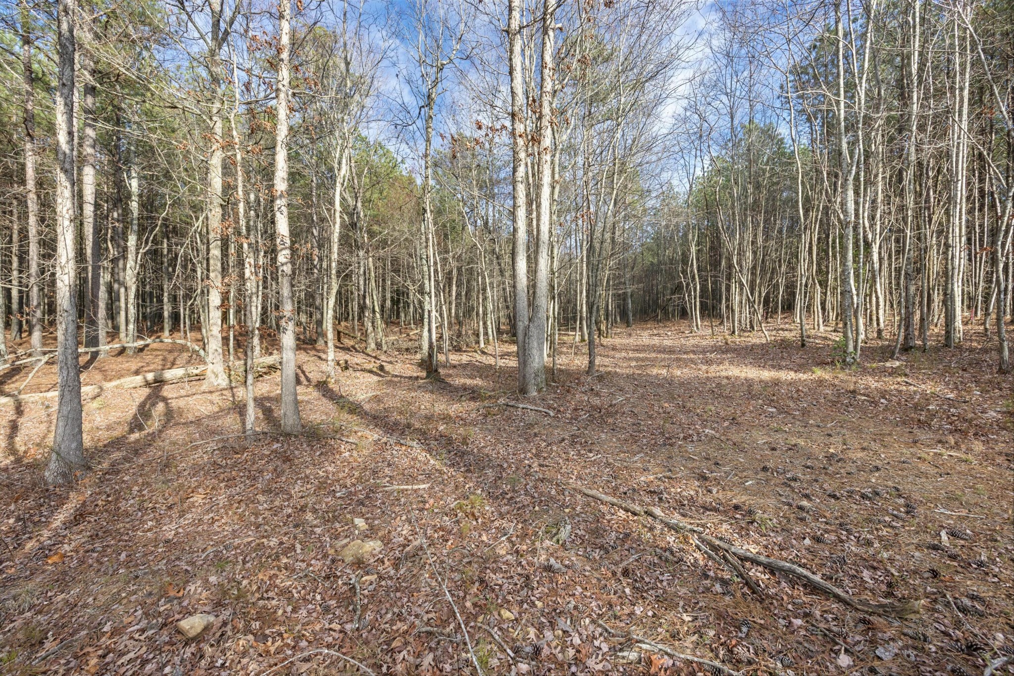 0 Raulston Falls Road