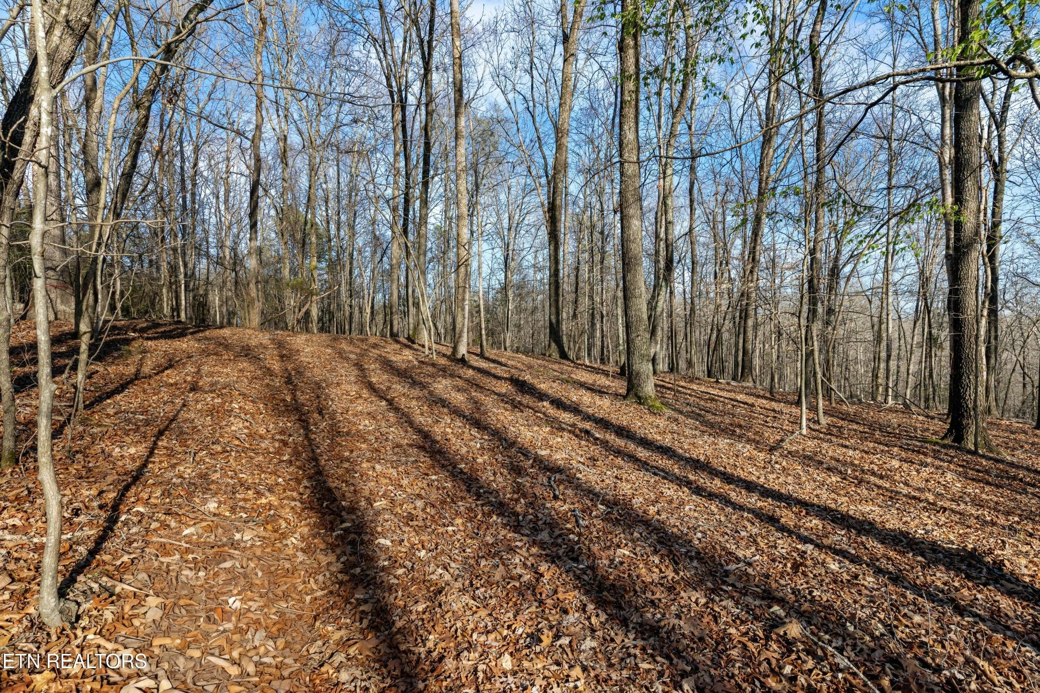 150 Clear Branch Rd N