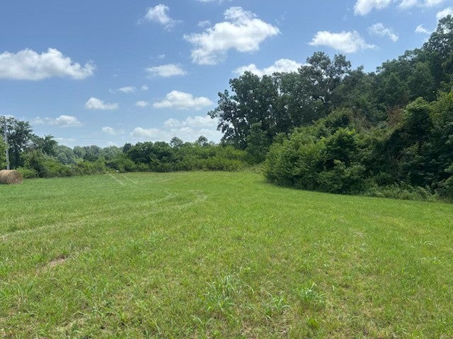 125 Floyd Graves Rd - Photo 3