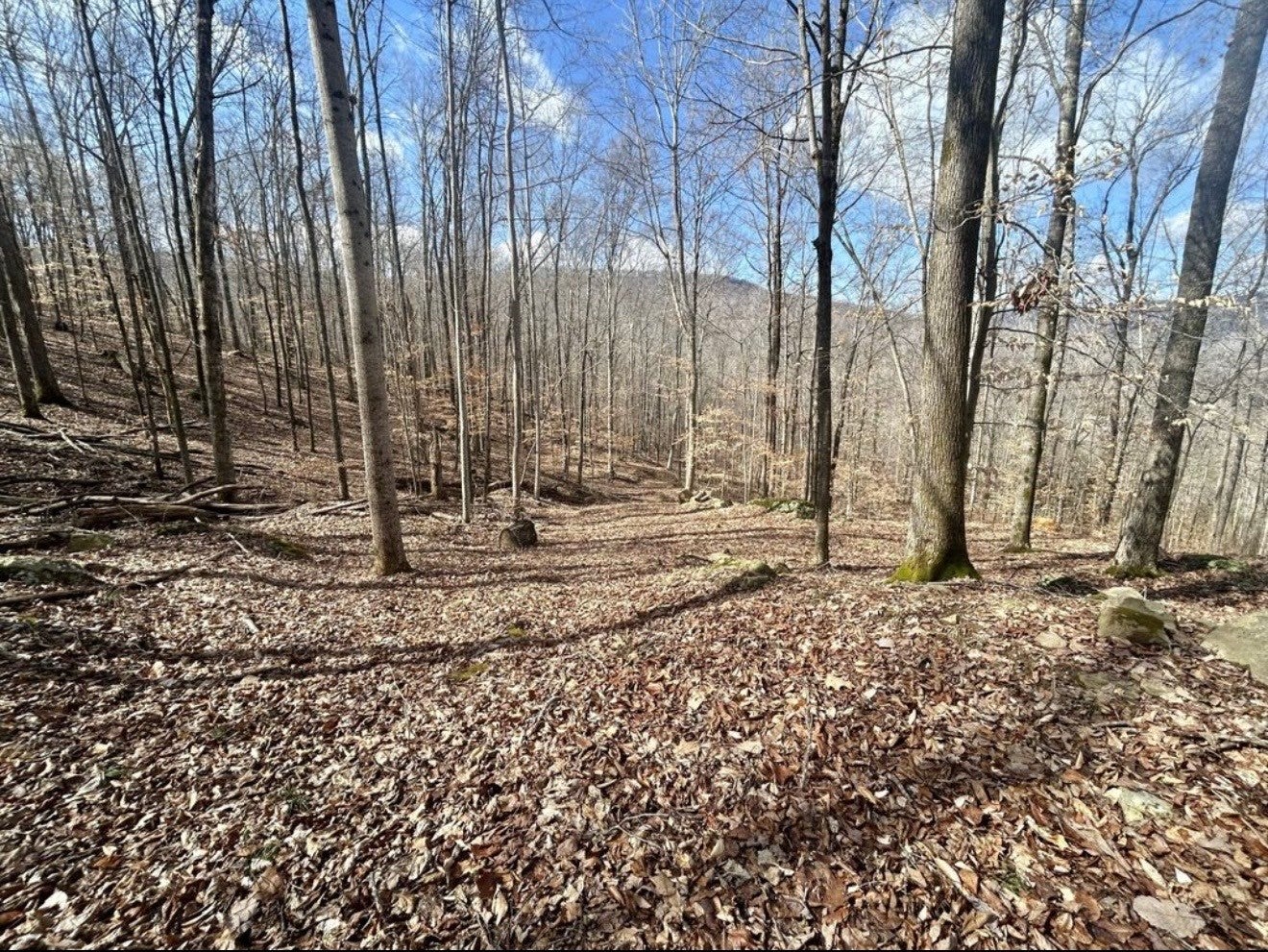 10127 Rocky River Rd
