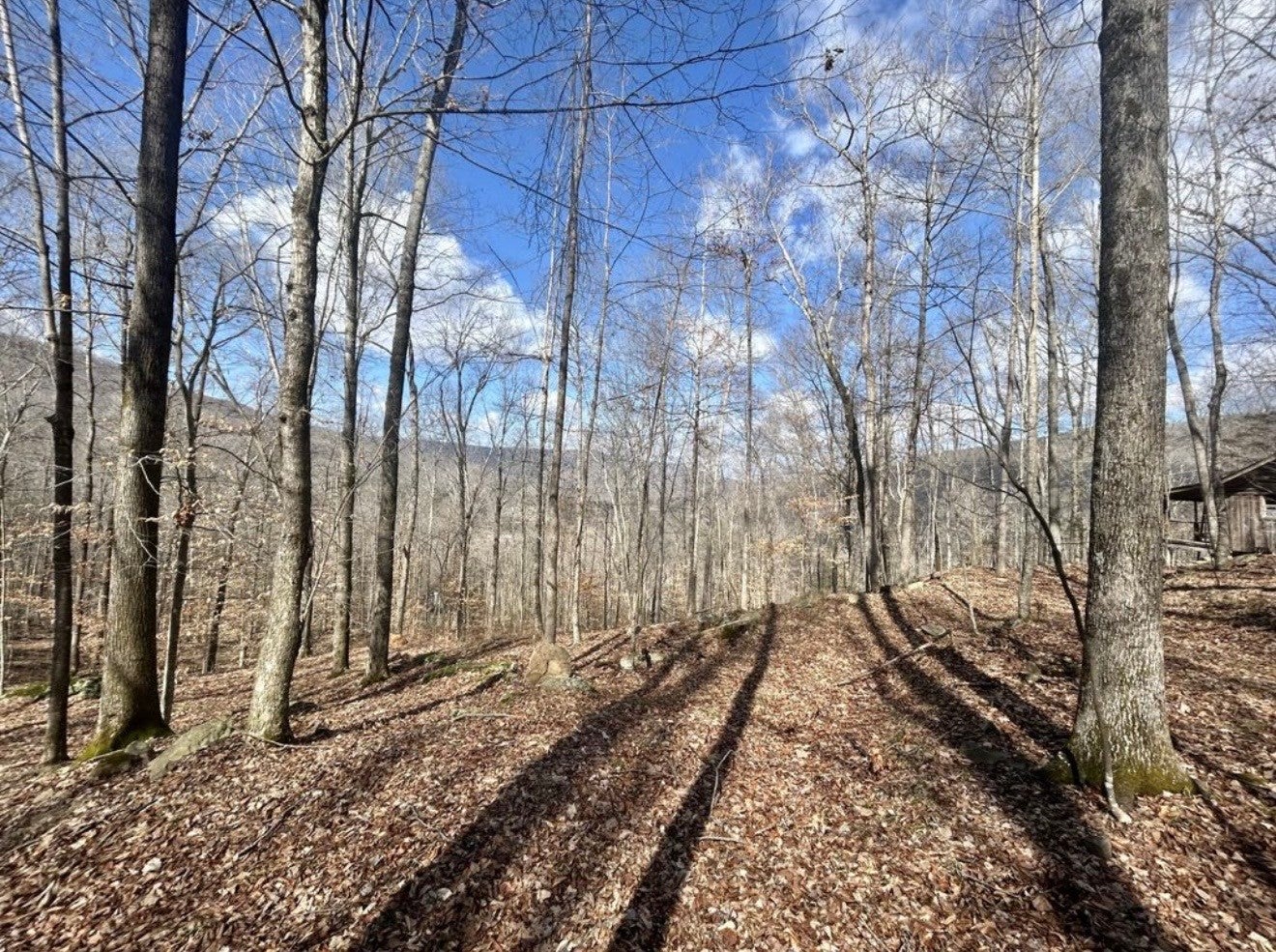 10127 Rocky River Rd