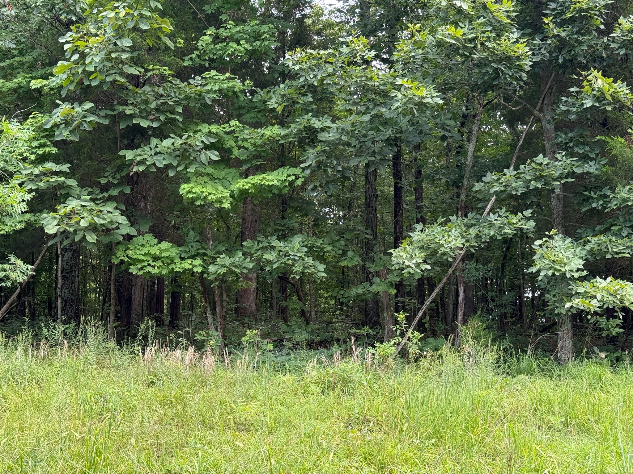 0 Lone Hill Rd