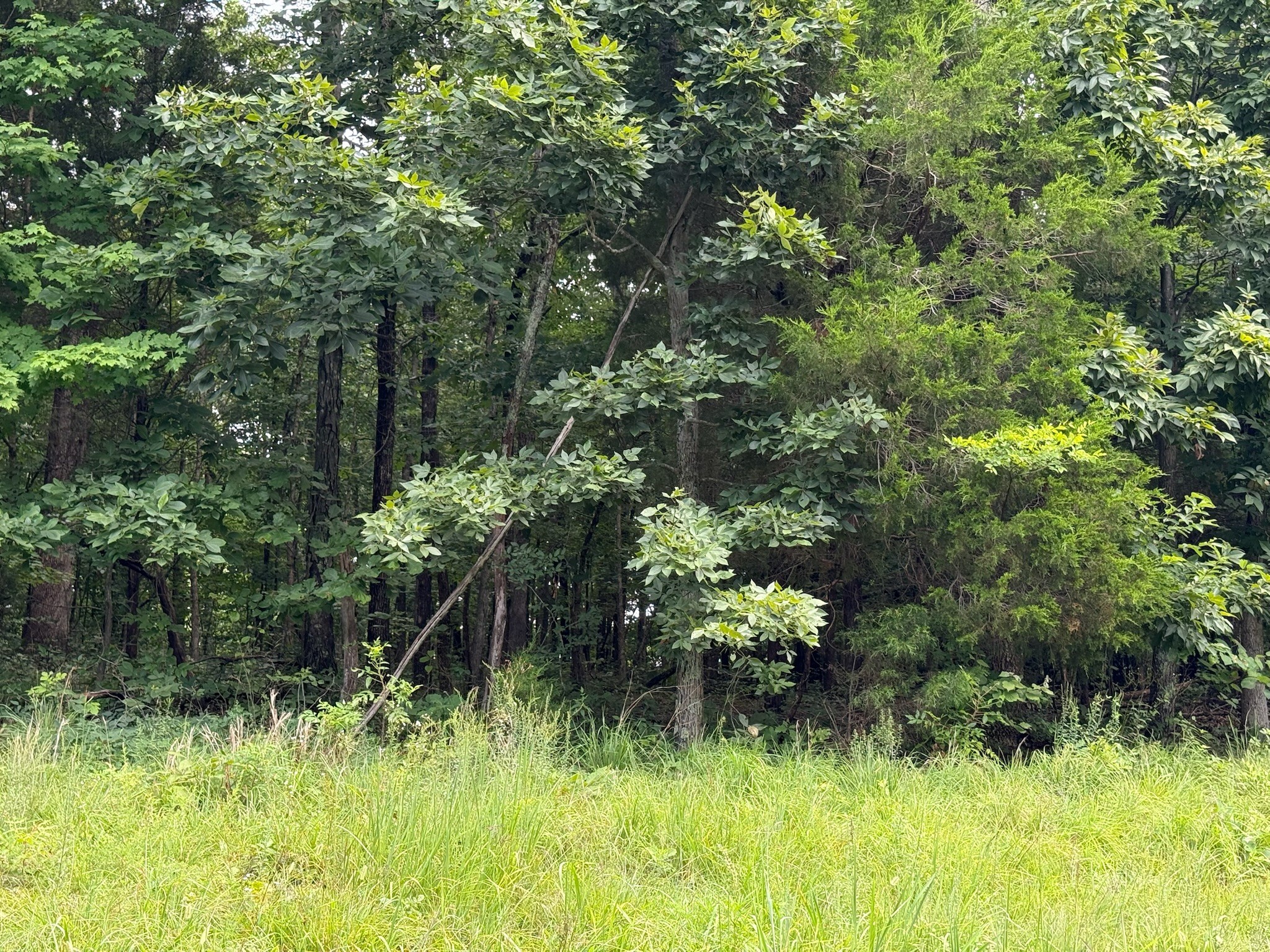 0 Lone Hill Rd