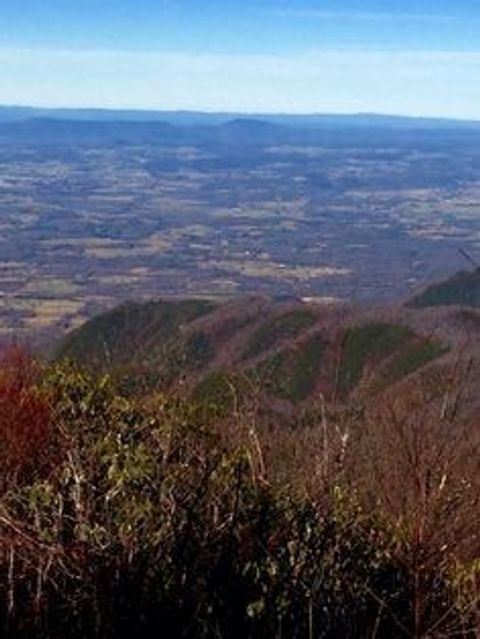 0 Box House Rd Belvidere TN 37306