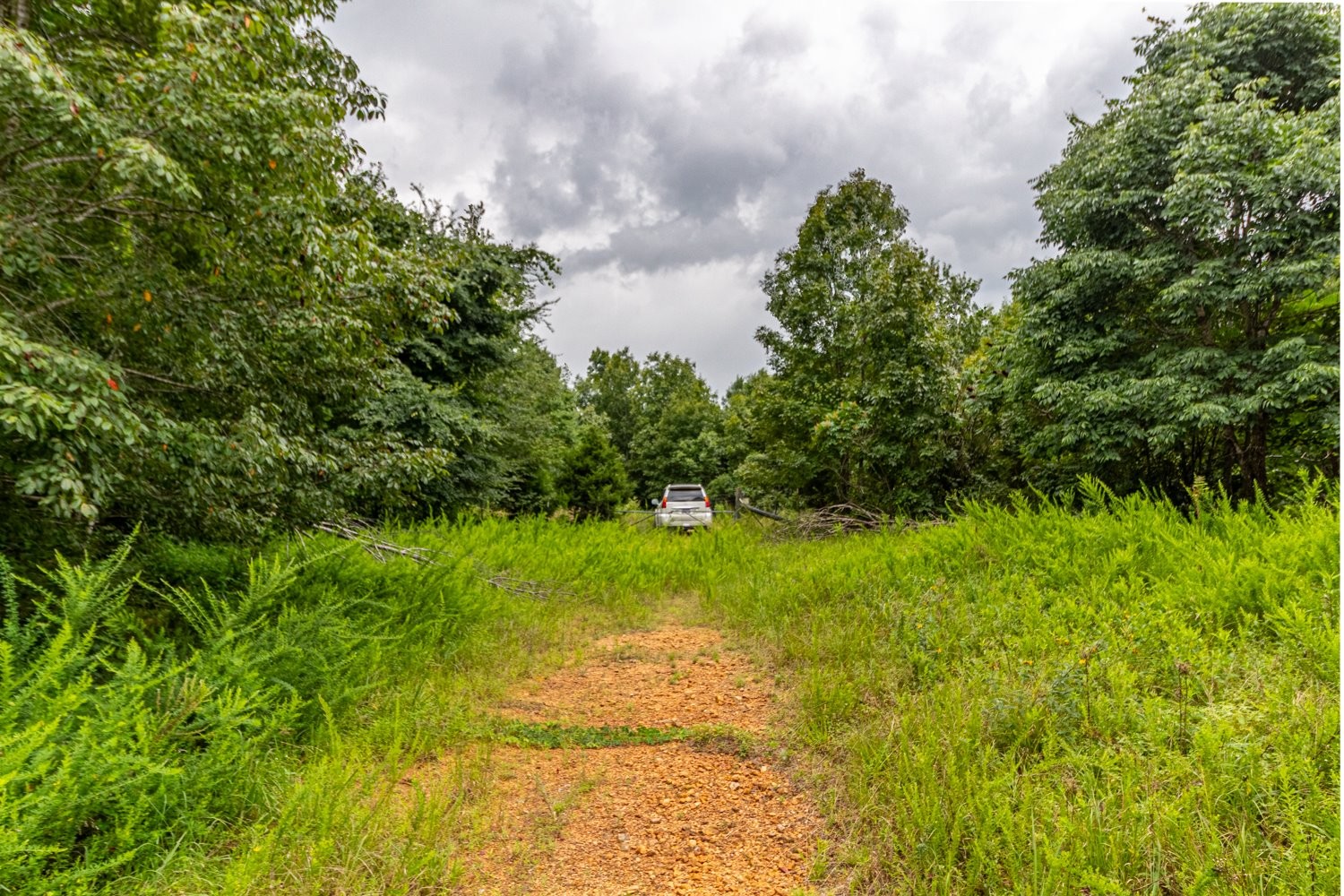 210 Loveman Lane