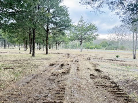 160 Osteen Ln Chapel Hill TN 37034