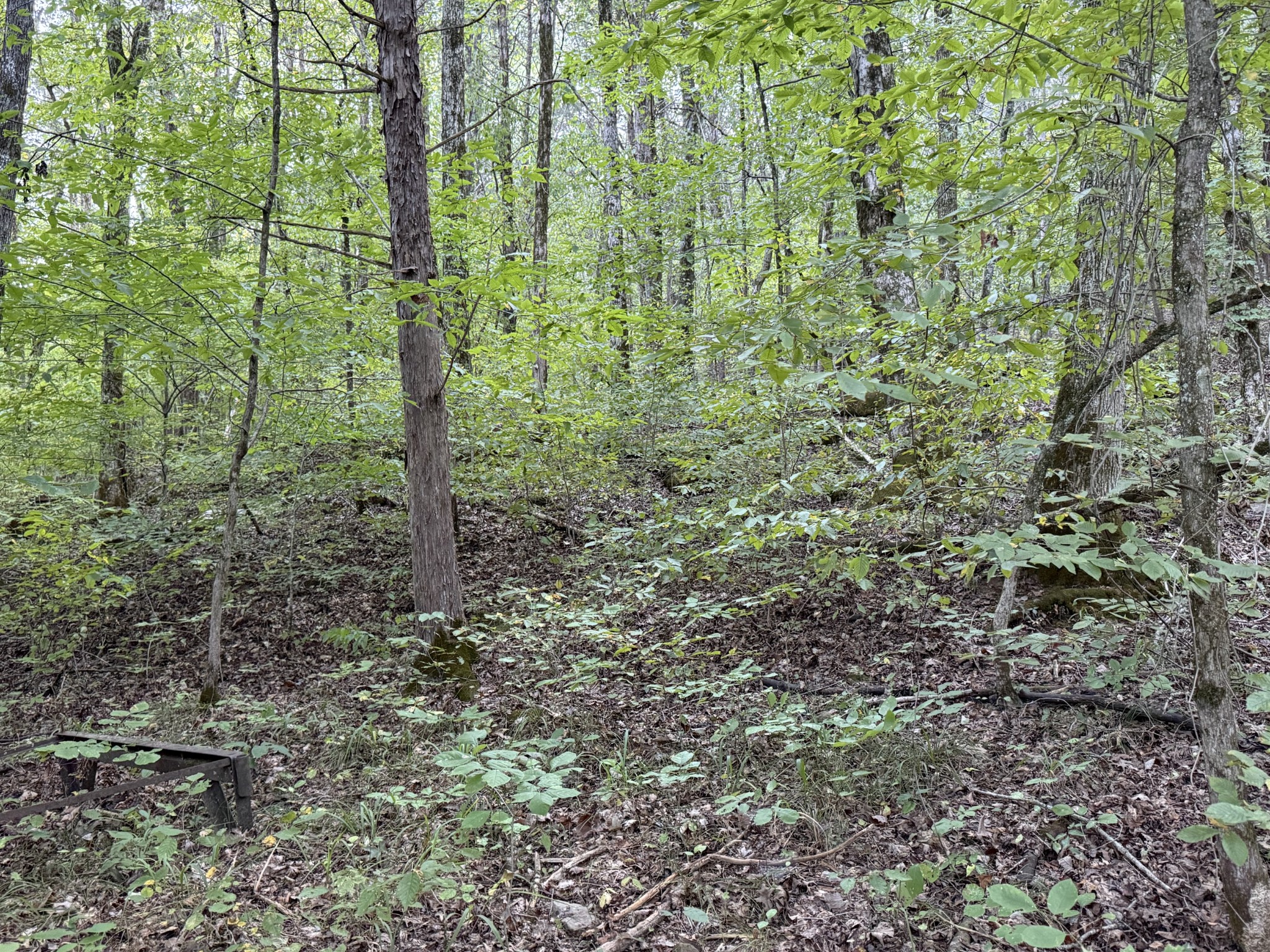 0 Davis Hollow Rd
