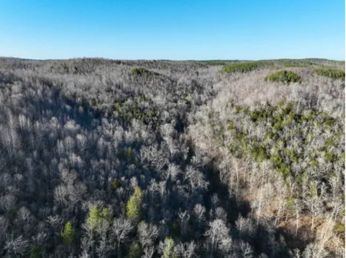 0 Davis Hollow Rd