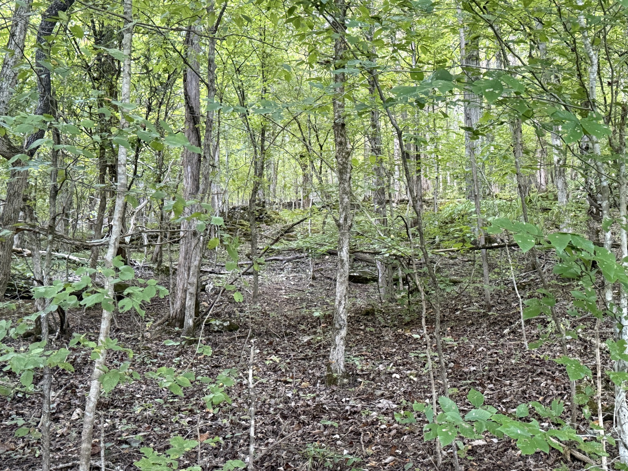0 Davis Hollow Rd