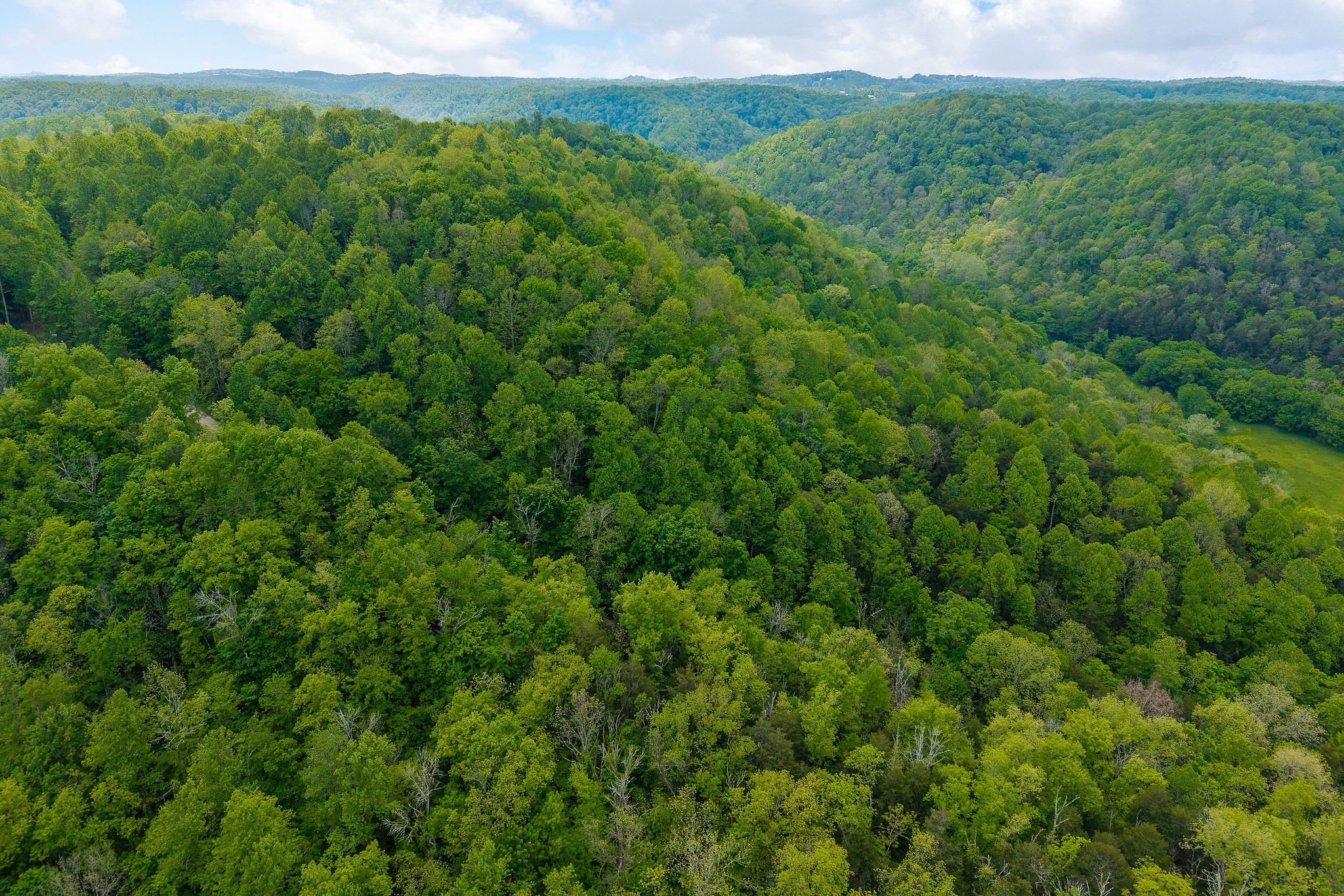 0 Red Bud Ln TN