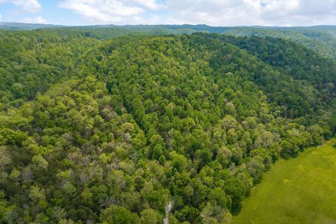 0 Red Bud Ln TN Hilham TN 38568