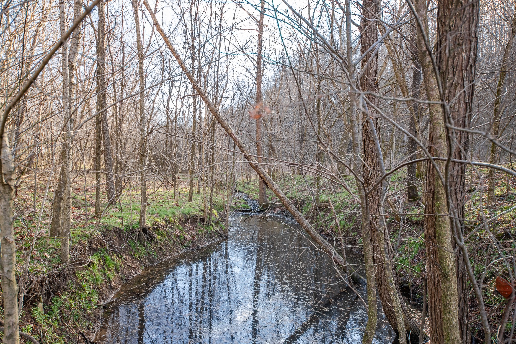 2171 Simmons Ridge Rd