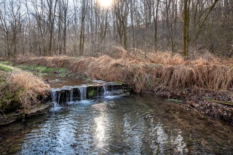 2171 Simmons Ridge Rd Cornersville TN 37047