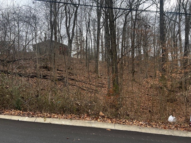 106 High Ridge Trl