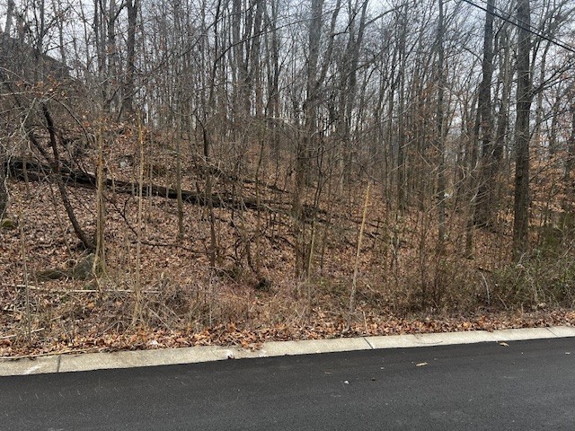 106 High Ridge Trl