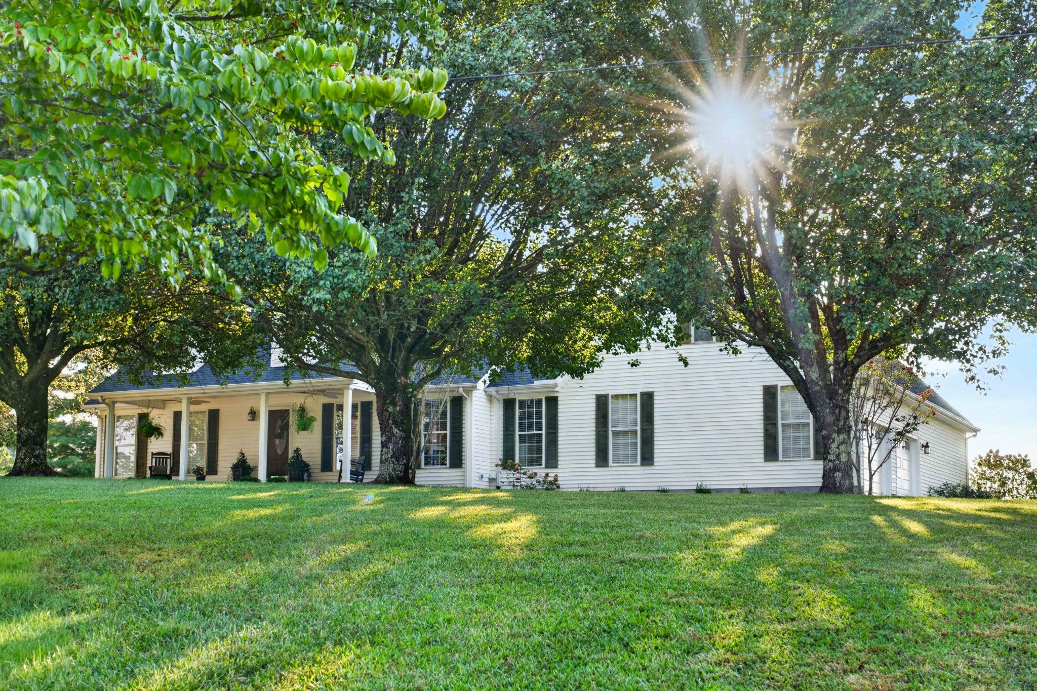 176 Meadows Rd