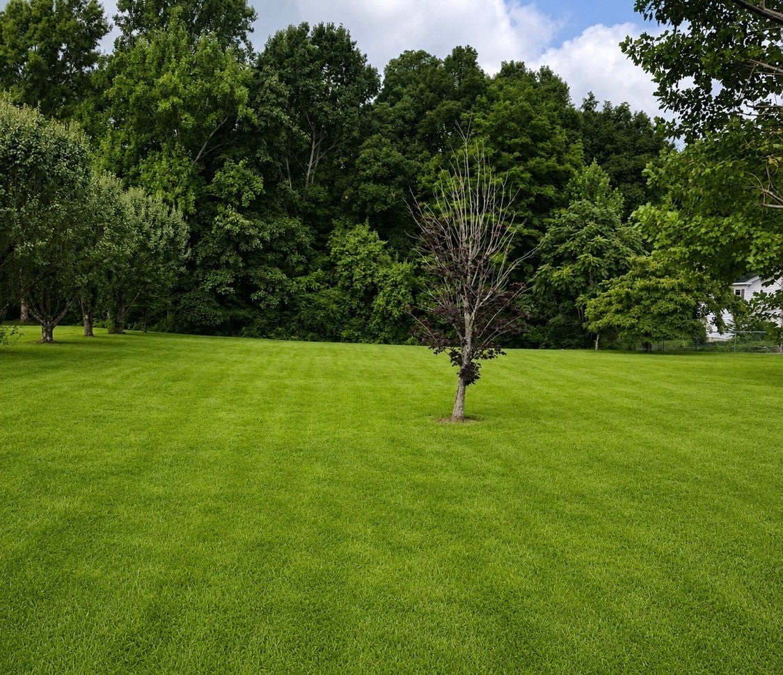 53 Pine Grove Rd