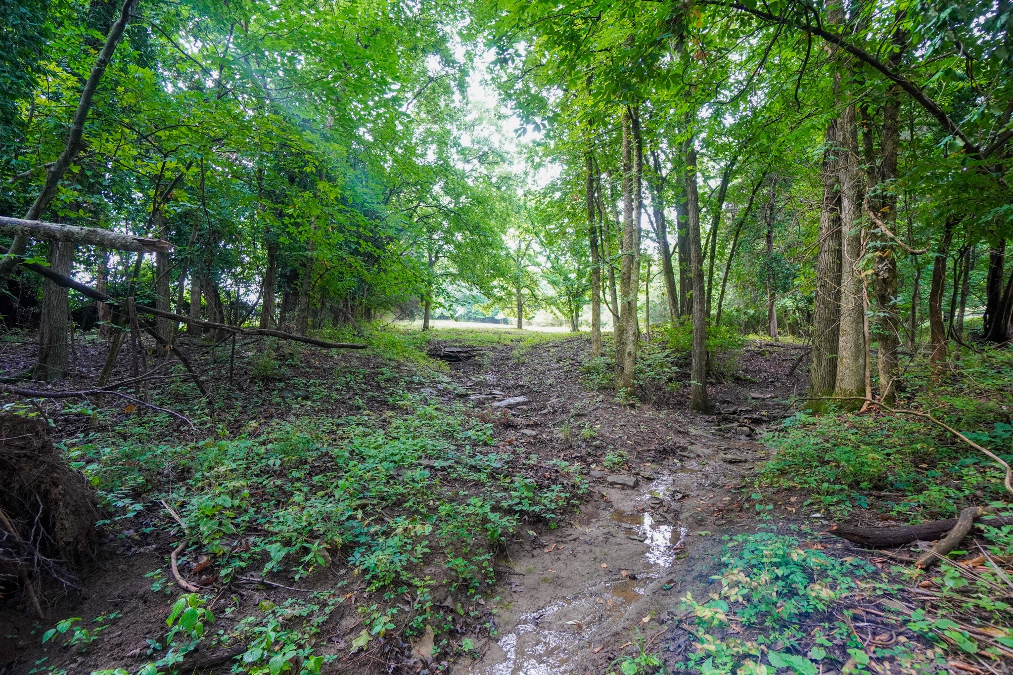 Middle Tennessee Properties 2 1094B Center Point Rd