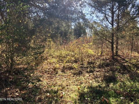 0 Thorn Grove Pike Strawberry Plains TN 37871