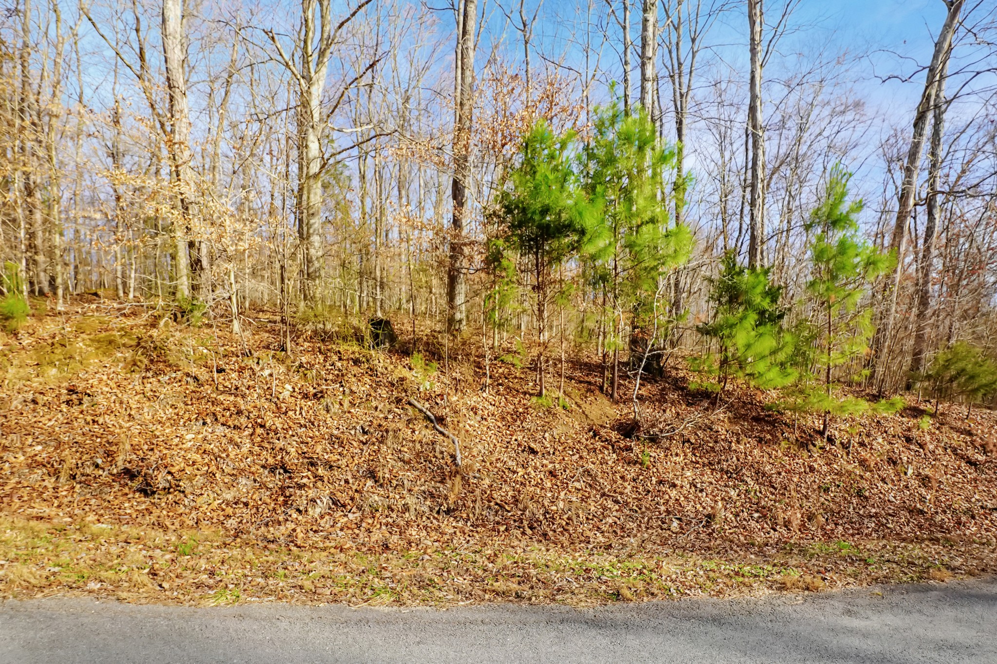 0 Frank Earhart Road