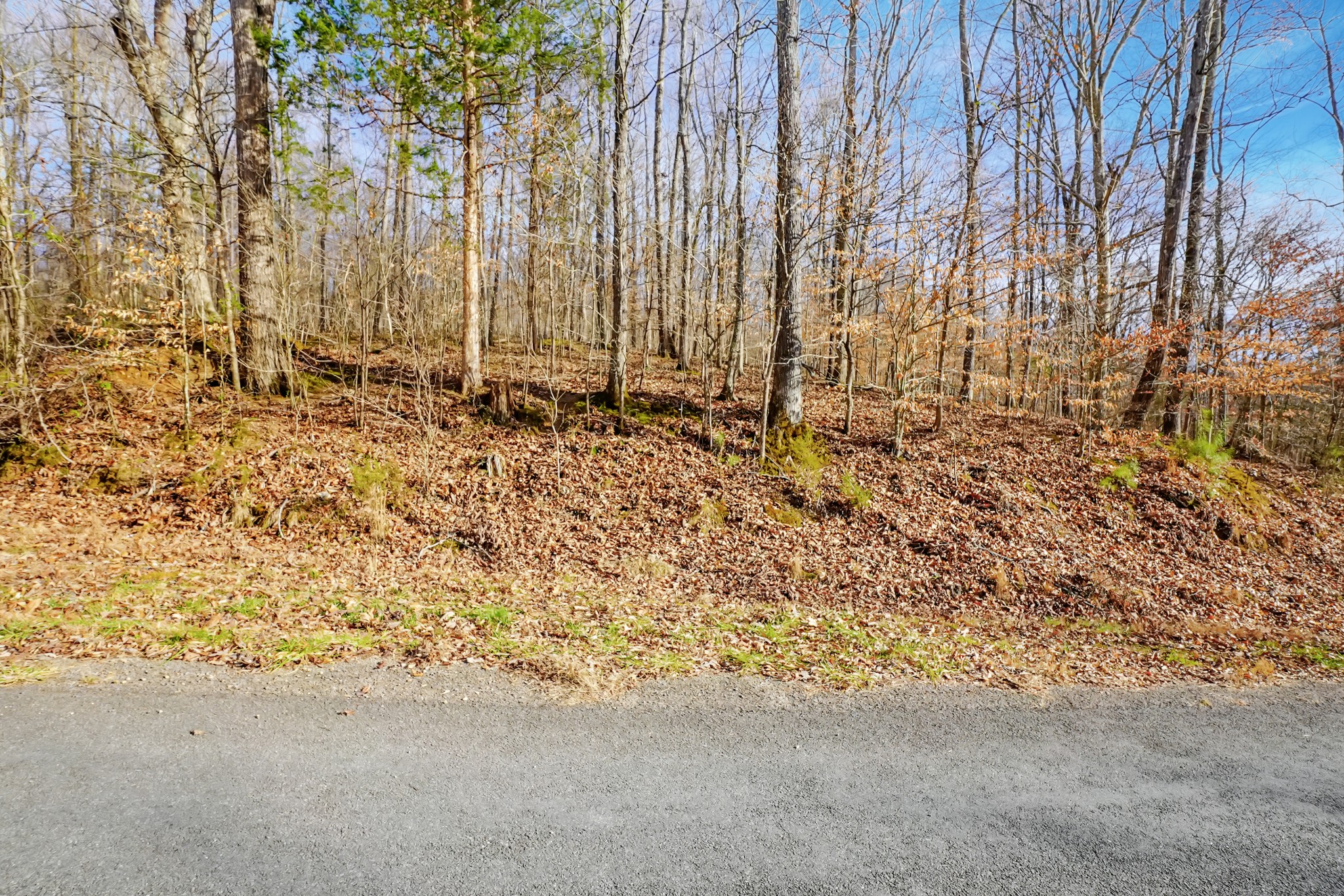 0 Frank Earhart Road