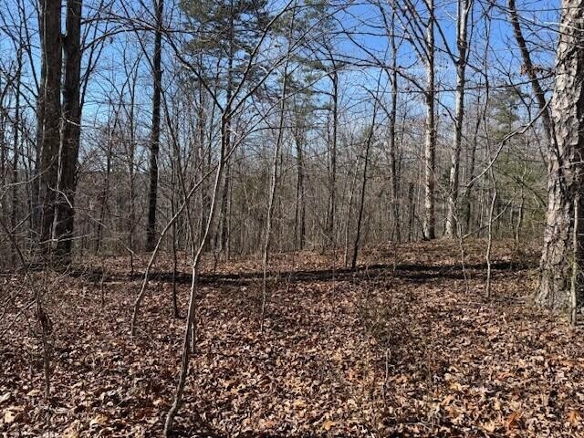 2 South Pittsburg Mtn Road