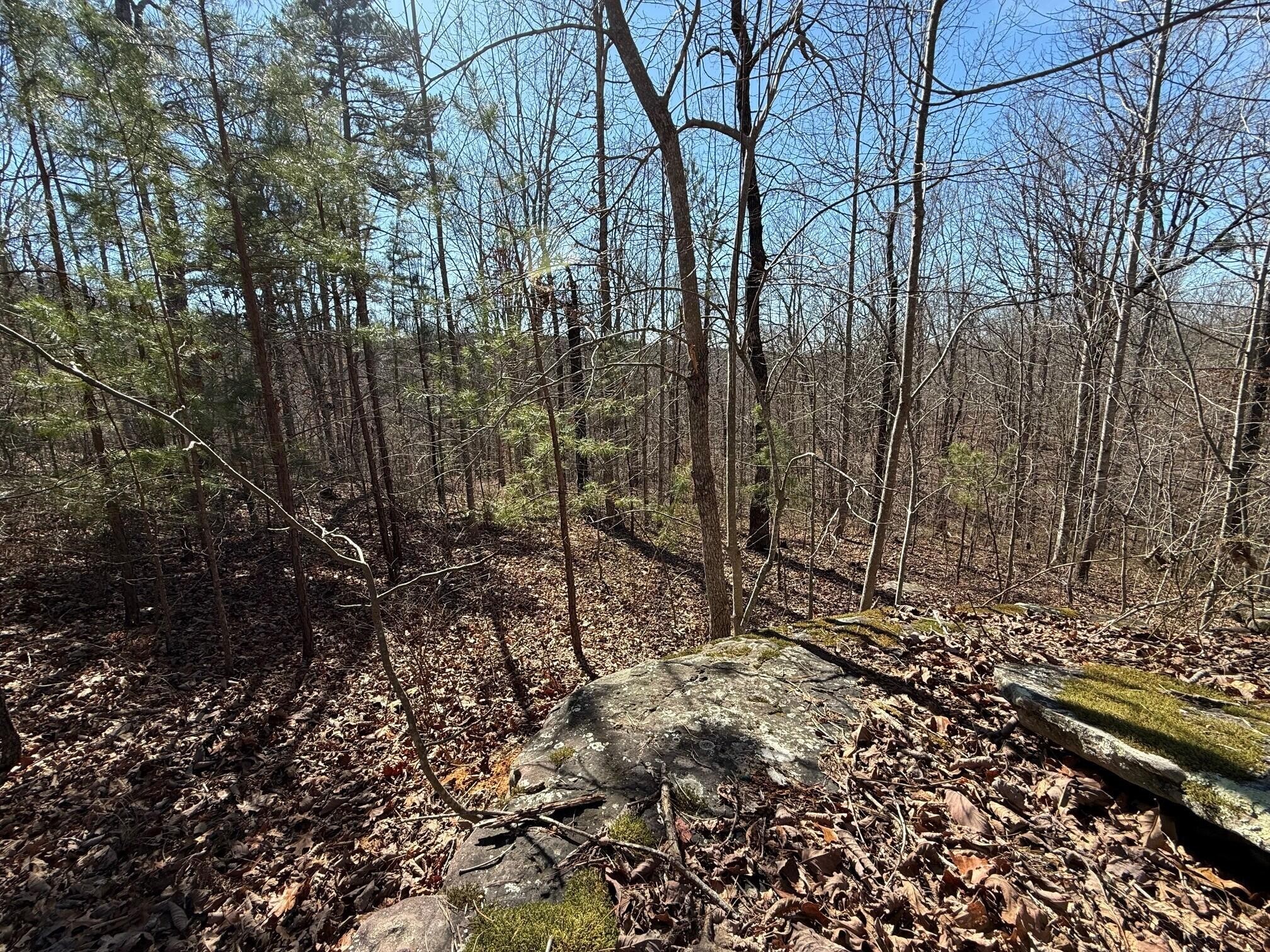 2 South Pittsburg Mtn Road