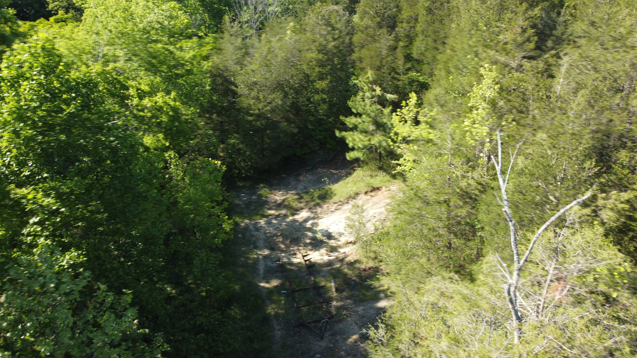 738 Rogues Fork Rd