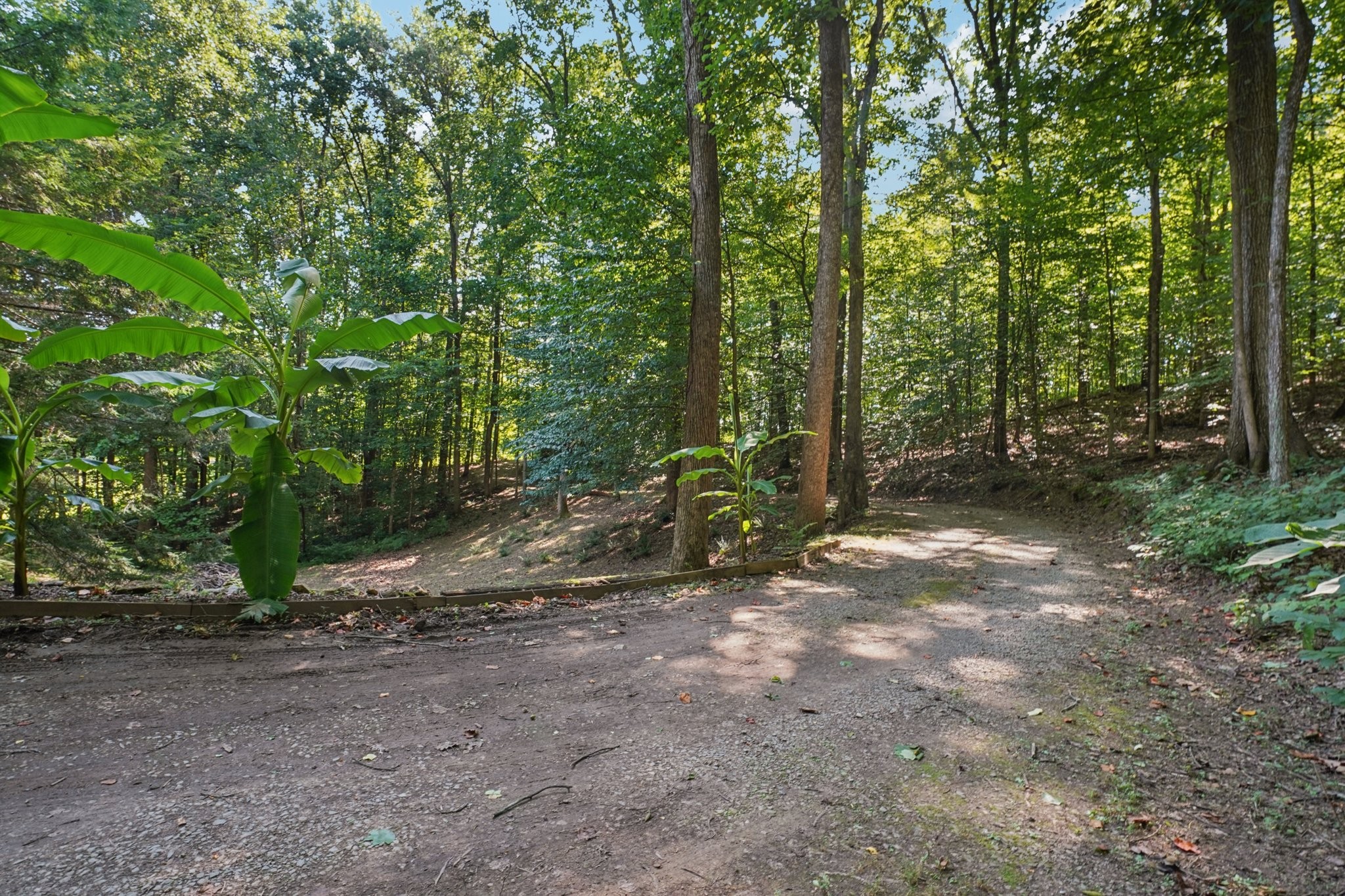 1105 Blackburn Dr