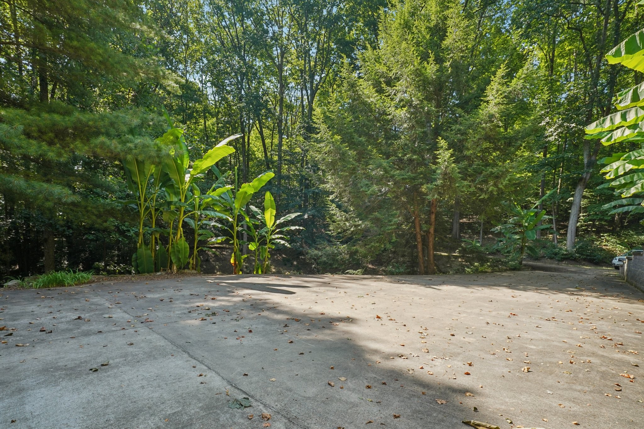 1105 Blackburn Dr