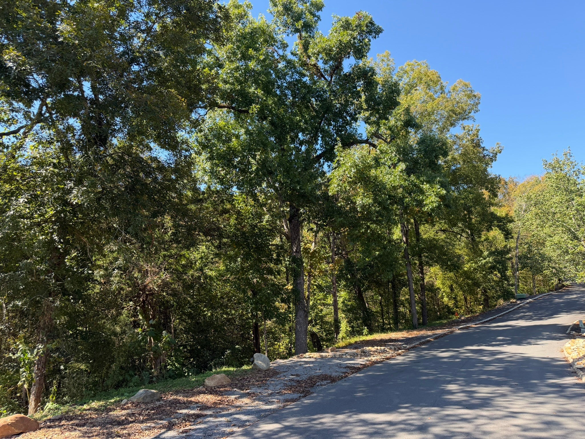 521 Red Cedar Ridge Rd