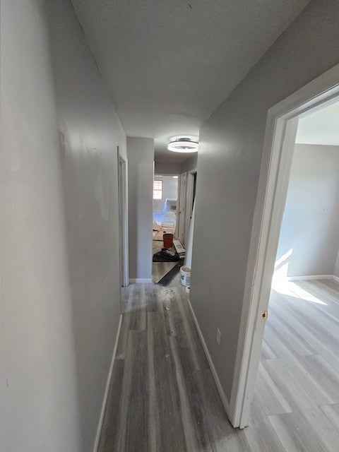 523 Pine Cir
