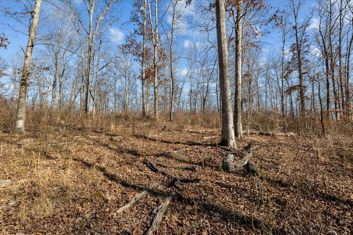 0 West of Magnolia Road