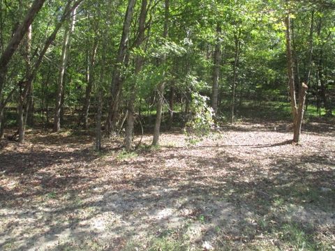 0 REESE ROAD Bethpage TN 37022