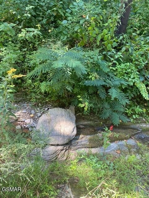 0 Stepping Stone Drive