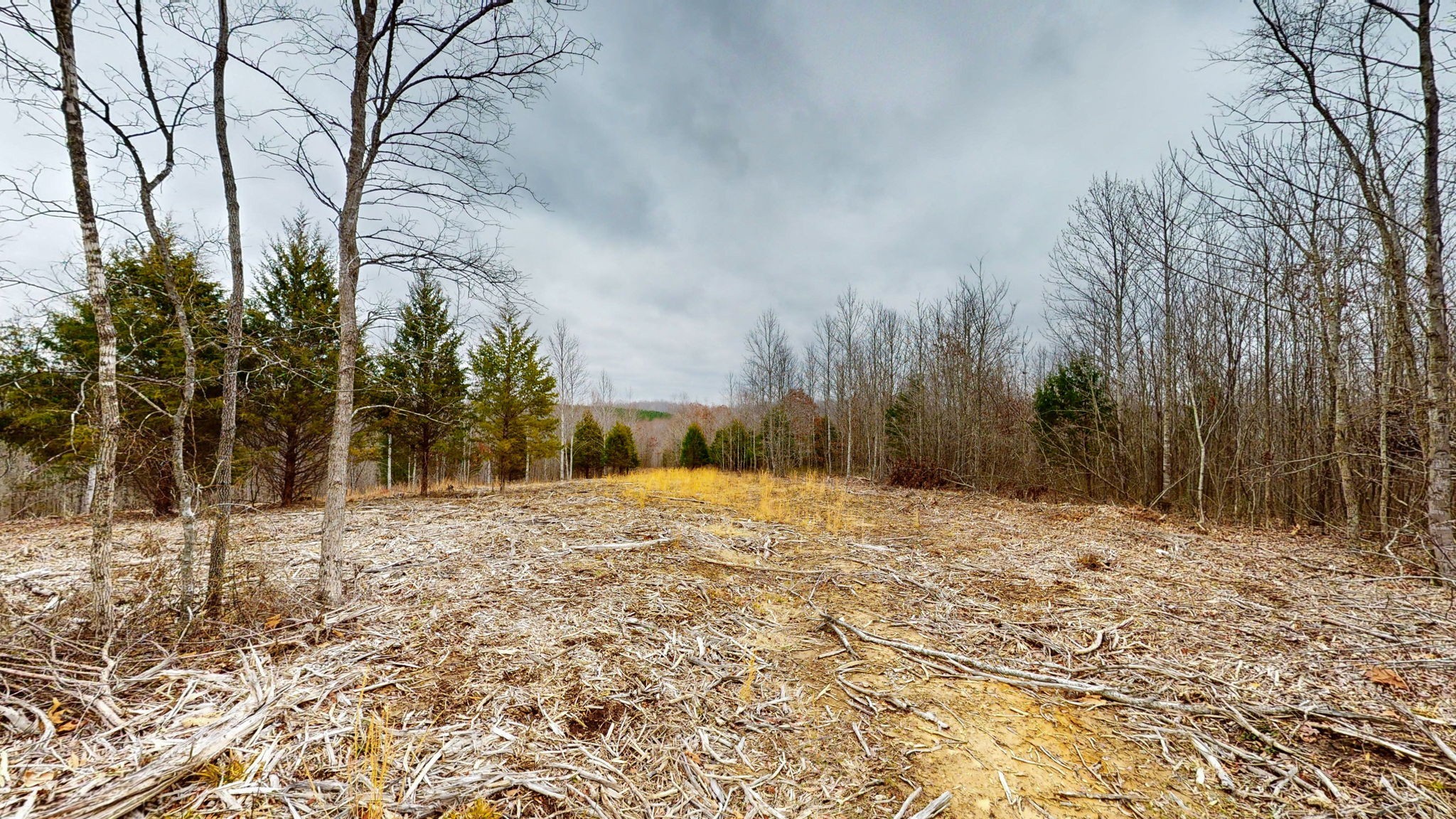 0 Horseshoe Hollow rd