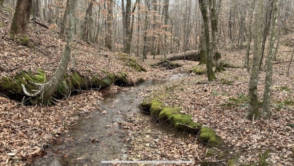 1 WEST MACKEY RD, IRON CITY, TN 38463 - Image 16ecf7efcac91ad8c01d4e20385ed7cf/832030864