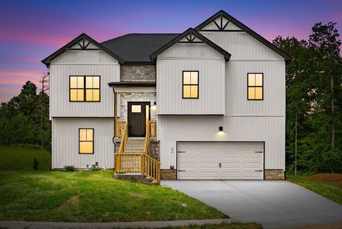 197 Dewberry Ct Clarksville TN 37042