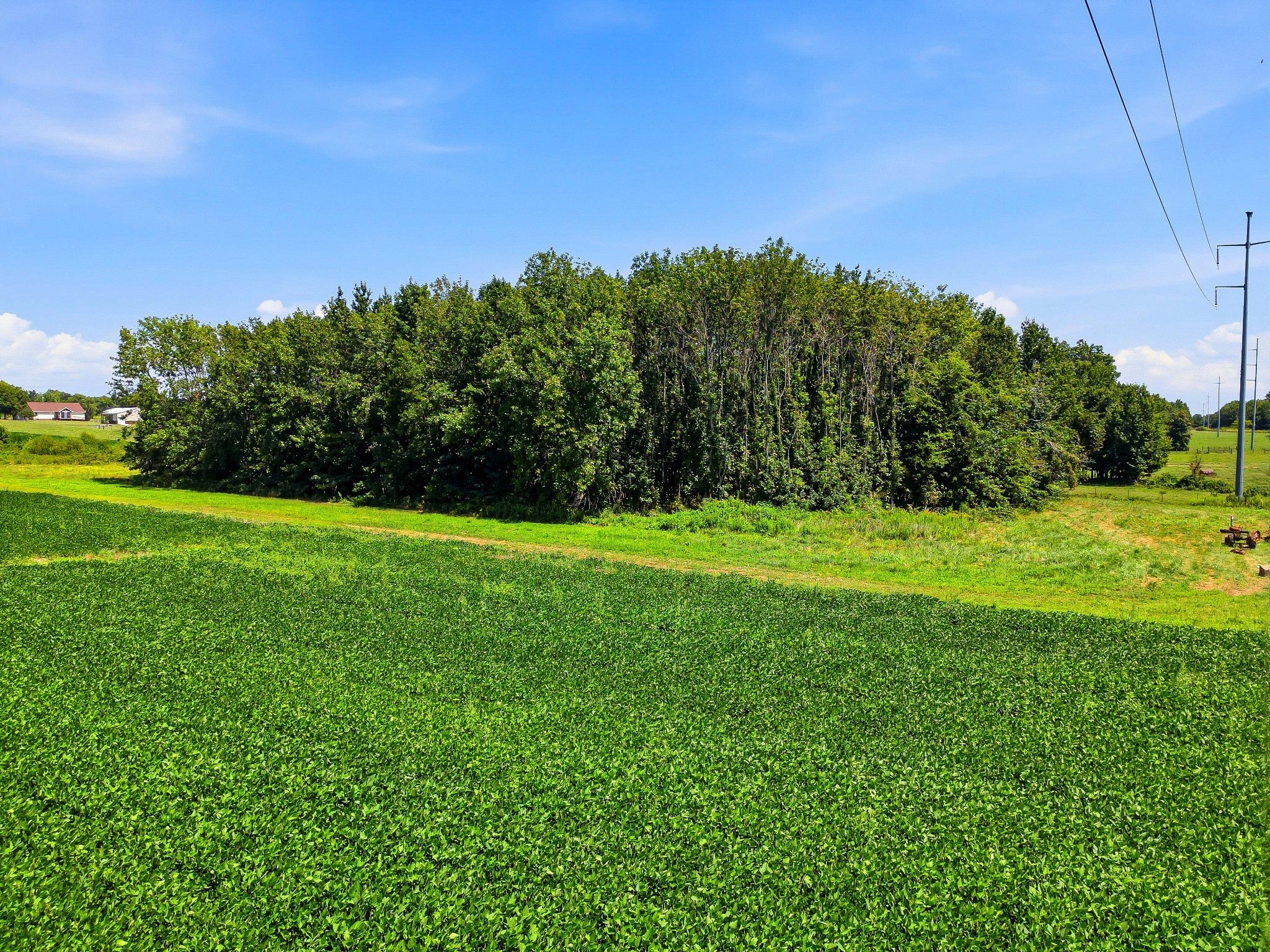 282 Highway 259