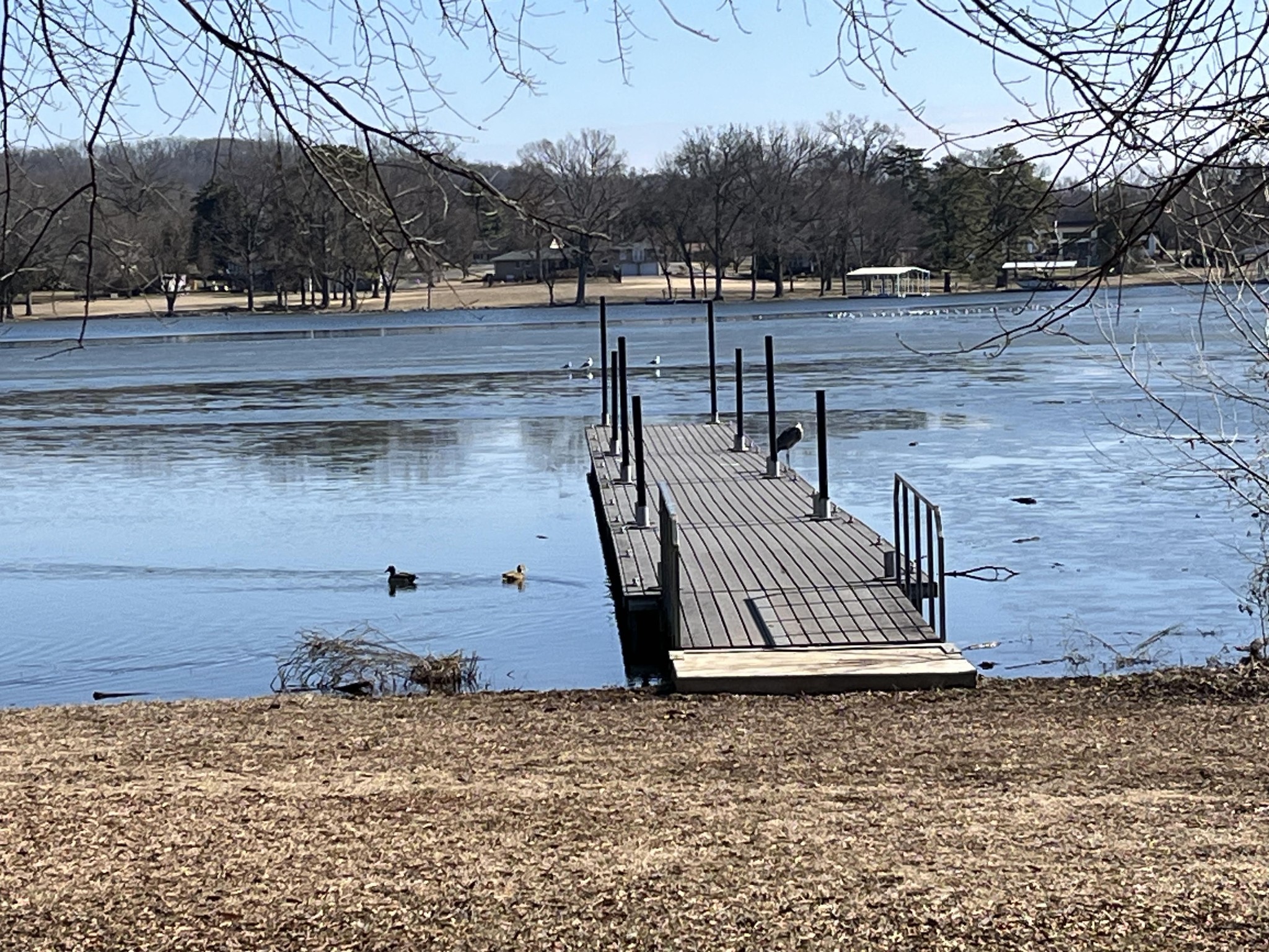 250 Sanders Ferry Rd 21