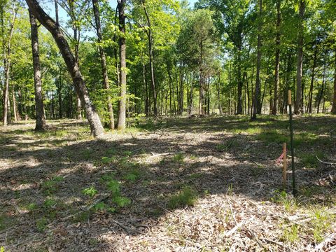4821 Kedron Rd Spring Hill TN 37174