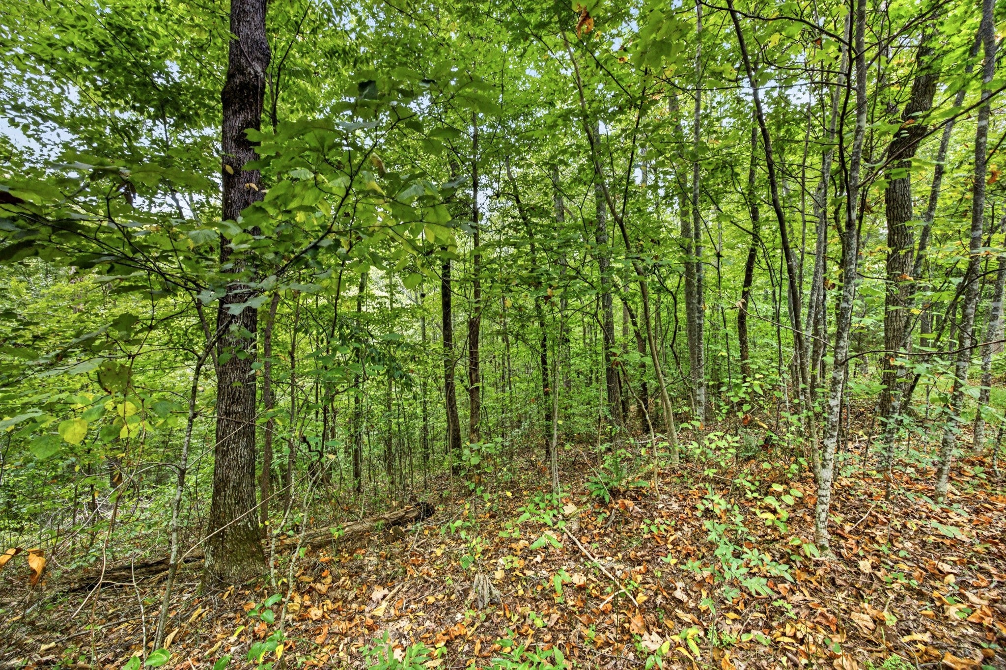 0 Timber Ridge Lane