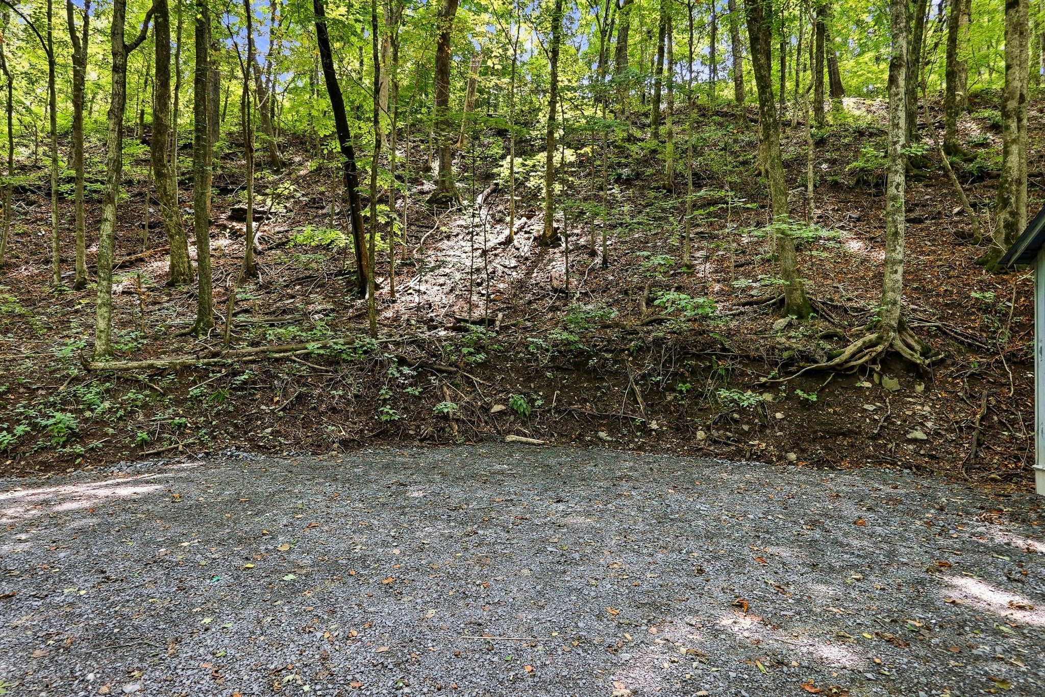 225 Coys Cove Ln