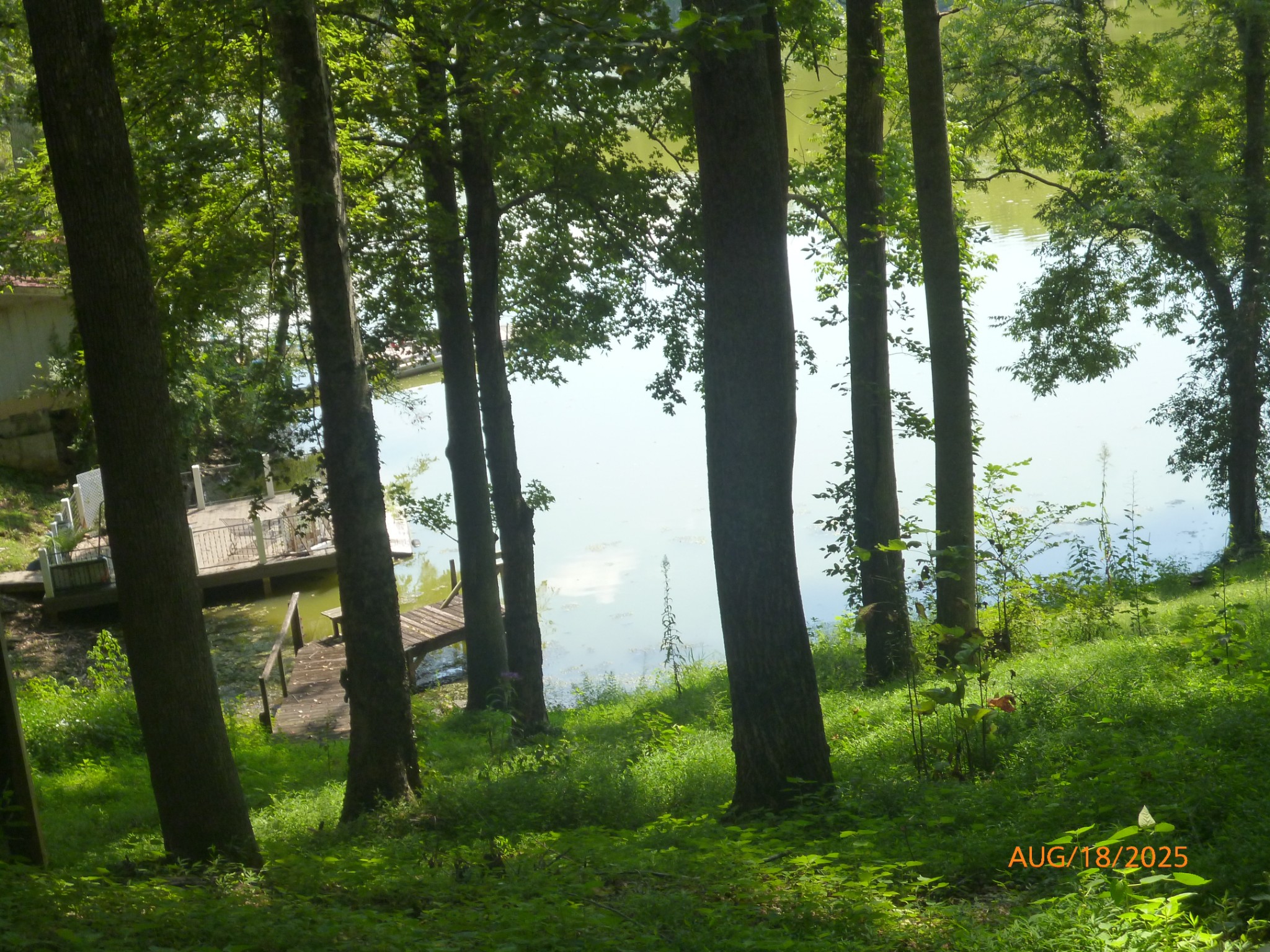 477 Lake Logan Rd