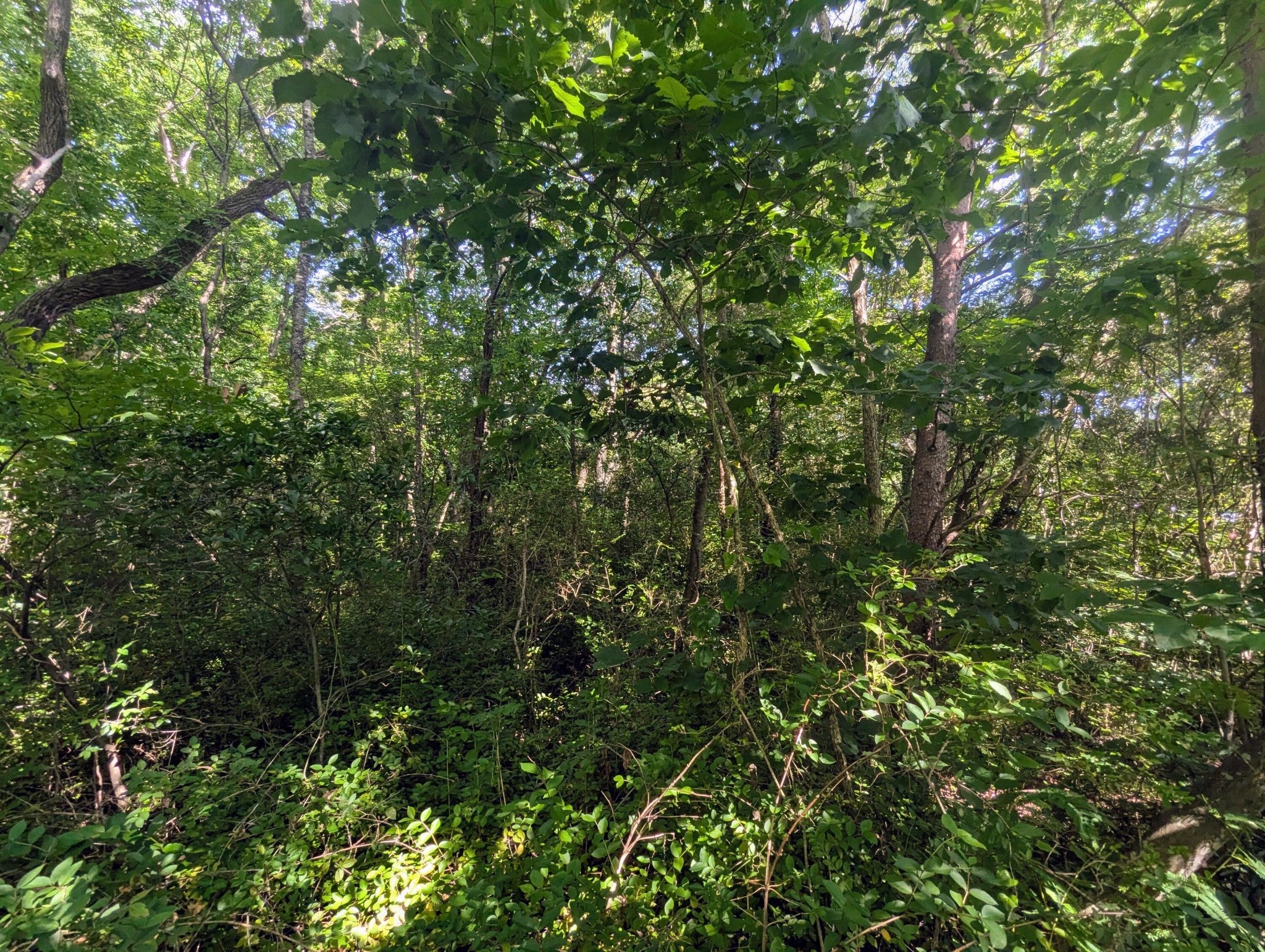0 County Road 493