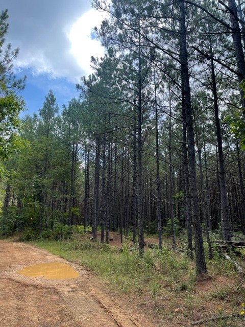 Middle Tennessee Properties 4 320 Liberty Ridge Rd