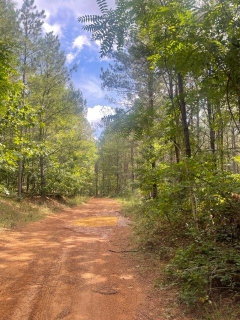 Middle Tennessee Properties 3 320 Liberty Ridge Rd
