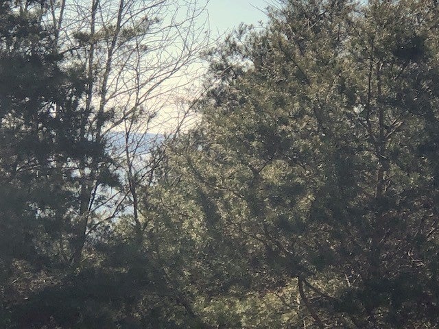 0 Turtle Point Lane