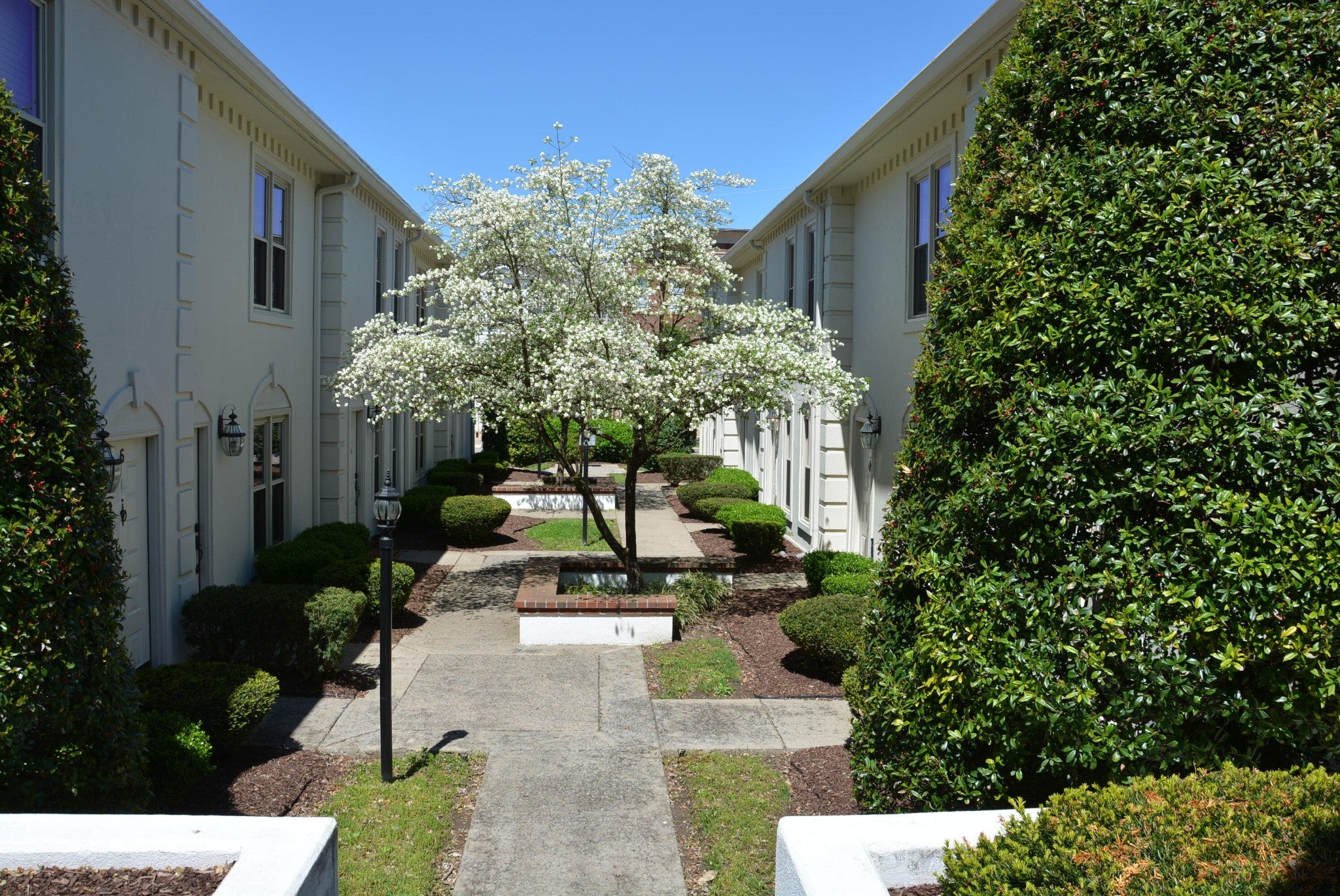 2115 Acklen AVE APT 5
